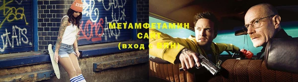 индика Дмитриев