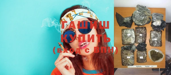 индика Дмитриев
