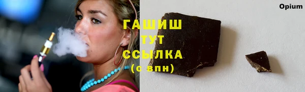 индика Дмитриев