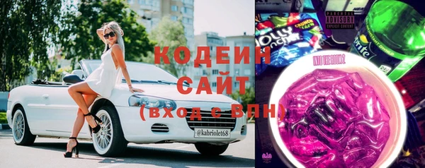 индика Дмитриев