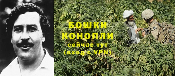 соль ск Гусь-Хрустальный