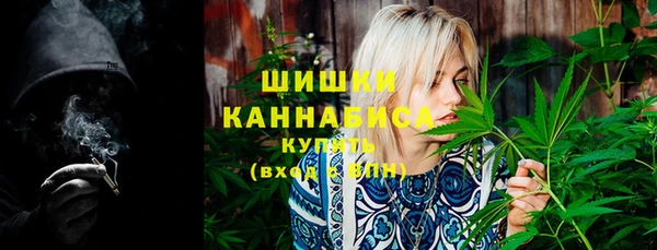 соль ск Гусь-Хрустальный