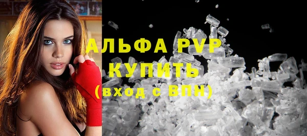 стафф Дмитровск