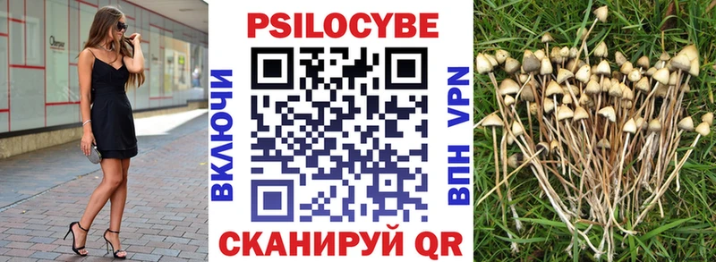 Купить Калач Псилоцибиновые грибы Psilocybine cubensis