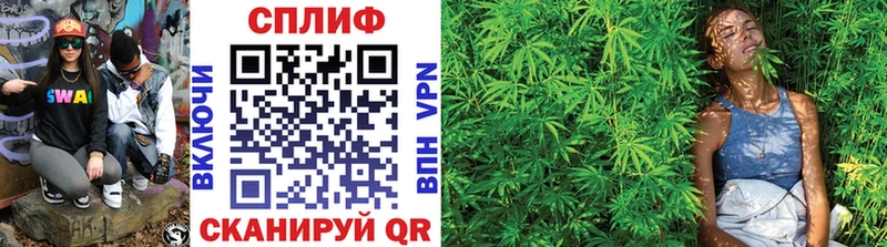 Бошки Шишки индика  Купить где  Калач 